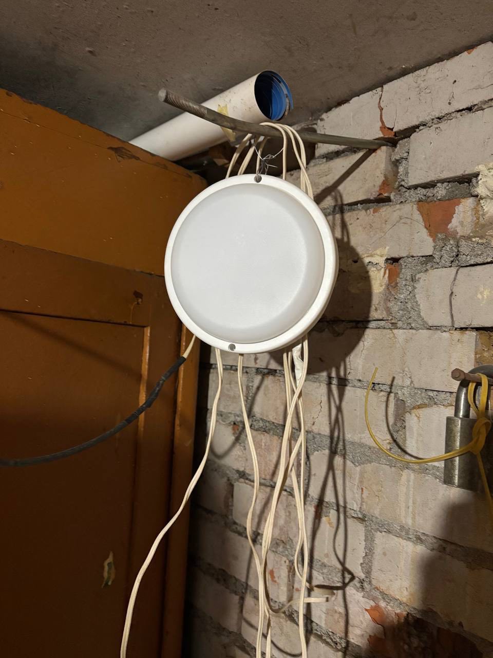 В Жодино задержан 61-летний мужчина с 500 г. марихуаны и оборудованием для еёвыращивания