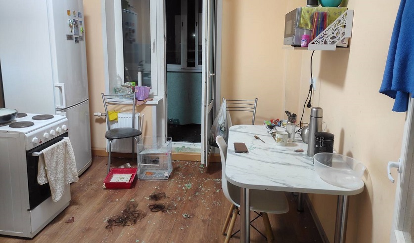 В Могилеве осудили мужчину, который избил и сбросил с балкона сожительницу